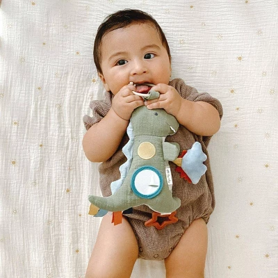 Itzy Ritzy Traveler Learning Toy 6 Itzy Ritzy Traveler Learning Toy - Image 6